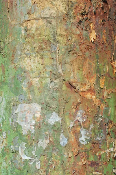 Grunge Texture Green Rusty Metal Background (en inglés). Imagen horizontal — Foto de Stock