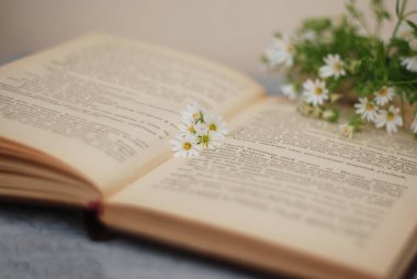 Eski kitap ve Camomiles buket rustik tarzı Vintage yalan