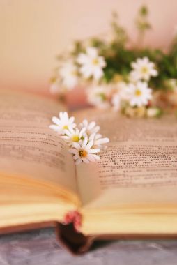 Eski kitap ve Camomiles buket rustik tarzı Vintage yalan