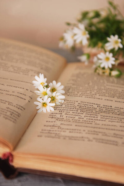 The old book and bouquet of camomiles lie on a wooden table.