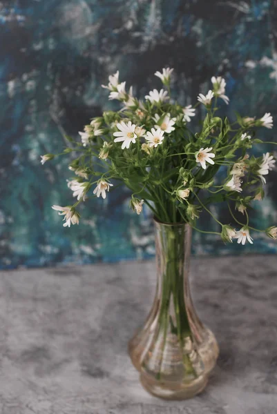 Daisy Camomile Fowers Grden Tble en bois fond bleu. fleur Bouquet Arrangement composition cadeau — Photo