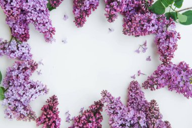 Lilalc mor çiçek buketi kapatın. bahar zamanı Flwoers. Isoalted kopya alanı beyaz zemin üzerine.