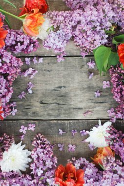 Lale ve leylak çerçeve dokulu rustik ahşap tahta üzerine kopya alanı izole