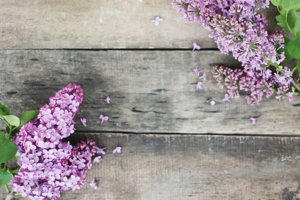 Spring flowers. Purple Lilac flowers Frame on Rustic Textured Gray wooden background. Top view, flat lay