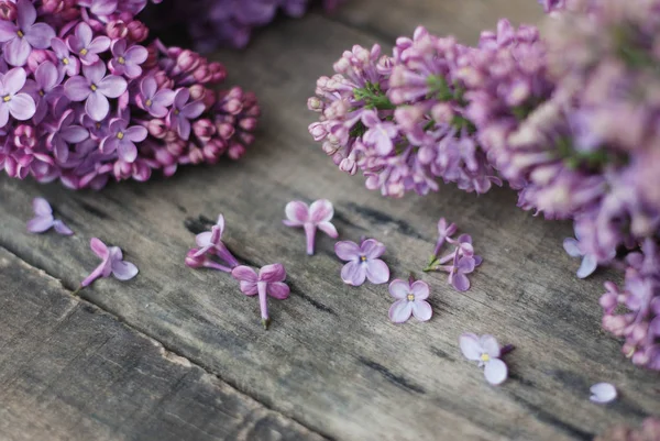 春の花。素朴な質感の灰色の木製の背景に紫ライラック花フレーム。平面図、平面レイアウト — ストック写真