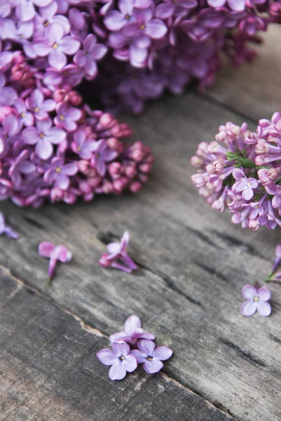 Spring flowers. Purple Lilac flowers Frame on Rustic Textured Gray wooden background. Top view, flat lay