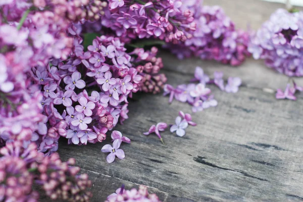 Flores de primavera. Flores lila Marco sobre fondo de madera gris texturizado rústico. Vista superior, plano — Foto de Stock