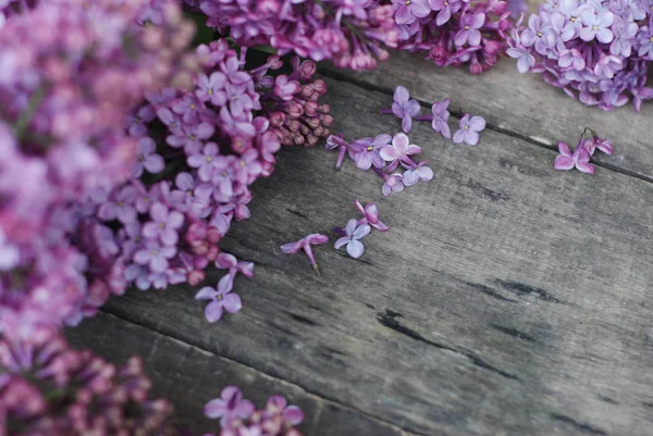 春の花。木製白地にライラックの花フレーム。平面図、平面レイアウト — ストック写真