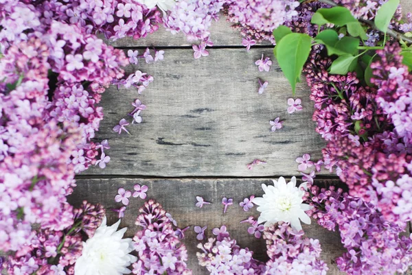 Paarse voorjaar Lilac Frame over rustieke getextureerde houten plank geïsoleerde kopie ruimte — Stockfoto
