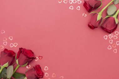 Kırmızı arka planda kırmızı güller yatıyordu. Sevgililer Günü, kopyalama alanı olan soyut arkaplan.