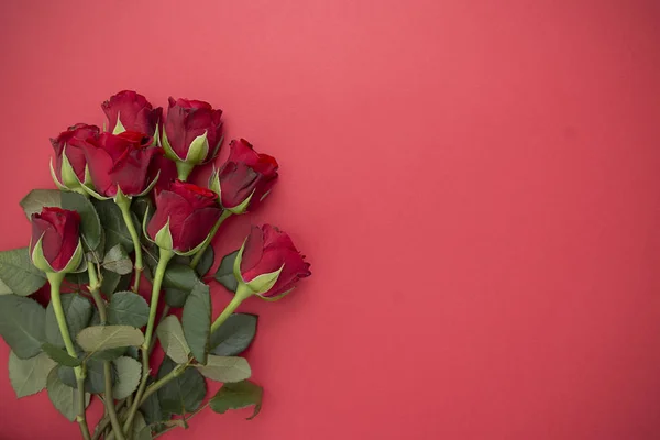 Rosas rojas sobre fondo rojo plano yacía. Día de San Valentín, Fondo abstracto de cumpleaños con espacio para copiar . — Foto de Stock