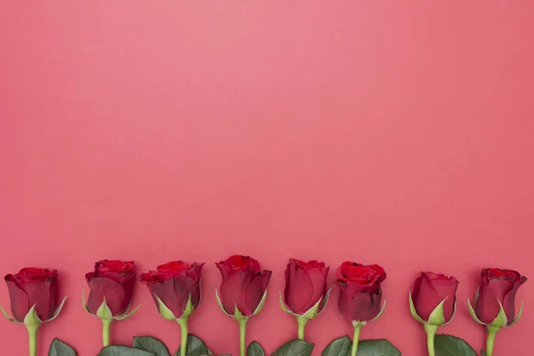 Rosas vermelhas sobre fundo vermelho flat lay. Dia dos Namorados, Aniversário fundo abstrato com espaço de cópia . — Fotografia de Stock