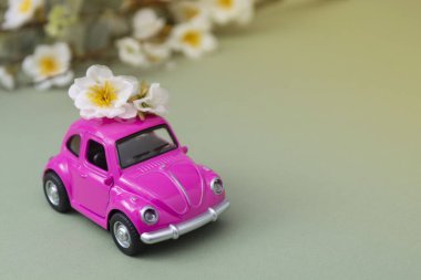 Corby, İngiltere 7 Şubat 2020. Minyatür pembe oyuncak araba, bahar, yaz çiçekleri, yeşil arka planda. Minimum konsept. Boşluğu kopyala.