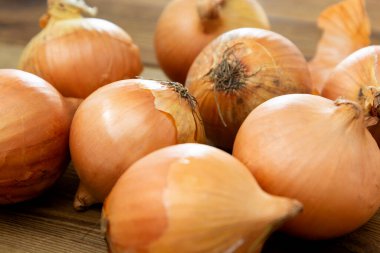 Taze soğan yalıtılmış, ahşap zemin üzerinde sebze ampulleri..