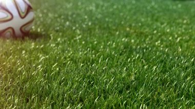 yavaş shift kamera için çim futbol topu. Yavaş hareket 4k