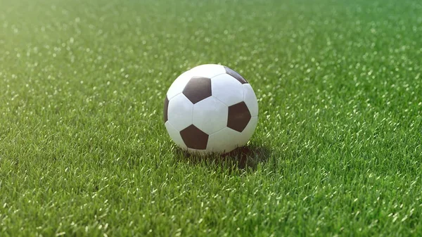 Fußball auf dem Rasenplatz. 3D-Darstellung — Stockfoto