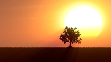 Gündoğumu 3d çizim büyüyen ağaca