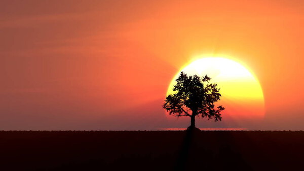 Growing tree at sunrise 3d illustration