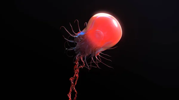 Jellyfish underwater going to the sun isolated on black 3d illustration — Stock Photo, Image