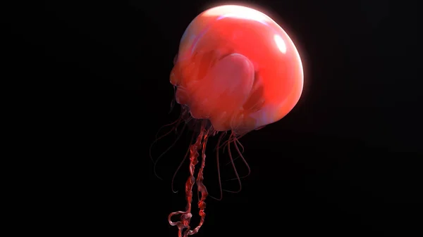 Jellyfish underwater going to the sun isolated on black 3d illustration — Stock Photo, Image