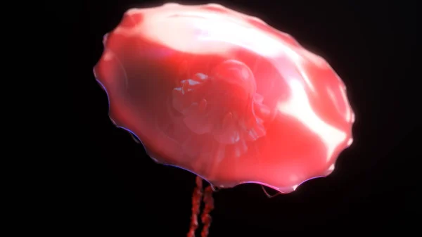 Medúza víz alatti fog a nap elszigetelt fekete 3D-s illusztráció — Stock Fotó