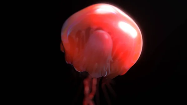 Meduse sott'acqua andando al sole isolato su nero illustrazione 3d — Foto Stock