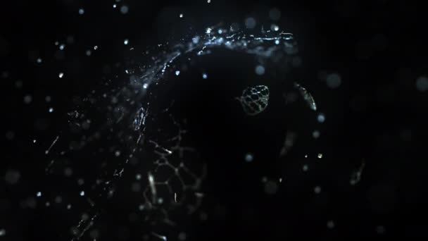 Gotas de agua golpea objeto oscuro abstracto, cámara lenta 4k — Vídeos de Stock