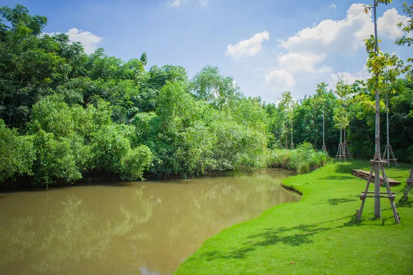 Beau Paysage Petit Étang Dans Jardin Extérieur Entouré Arbres Verts — Photo