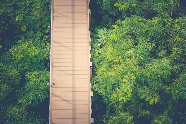 Vista Superior Caminhada Céu Madeira Passagem Cruzar Sobre Copa Árvore — Fotografia de Stock