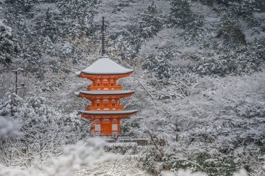 Güzel kış kırmızı Pagoda ağaçları ile çevrili Kiyomizu-dera Tapınağı'nda mevsimlik Kyoto, Japonya, beyaz kar arka plan kapsamında.