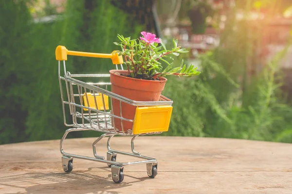 Écologie Concept Pot Fleurs Mini Panier Jaune Chariot Supermarché Sur — Photo