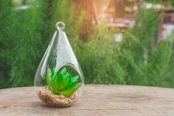 Close up decorative plant clear glass hanging flowerpot in modern design setting on wooden table with green natural and sun flare in the background. Soft focus