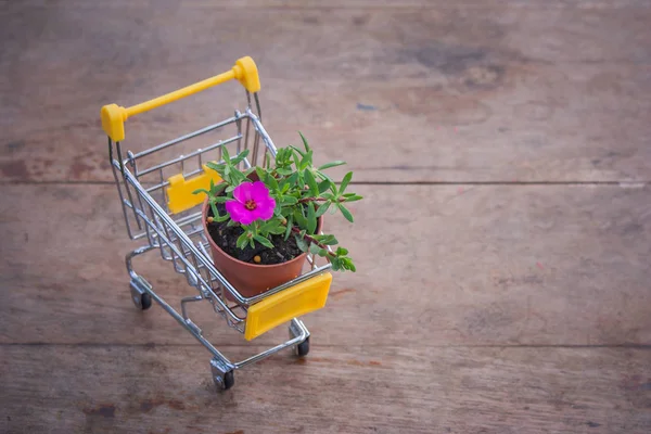 Pot Fleurs Mini Chariot Jaune Chariot Supermarché Sur Sol Bois — Photo