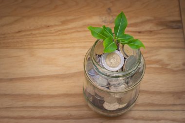 İş ve finans kavramı: yeşil filiz ağaç para sikke tasarruf para cam kavanoza ahşap zemin üzerinde ayarlama ile gelişen. (Seçici odak)