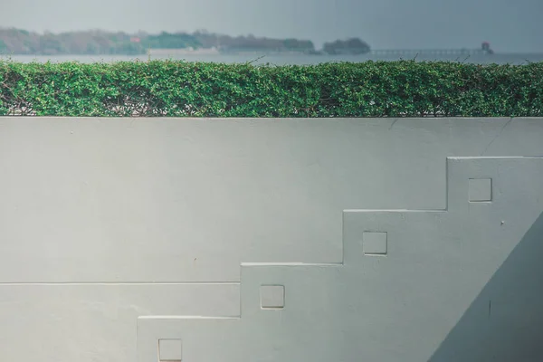Vista Lateral Arquitetura Escada Branca Com Arbusto Verde Parte Superior — Fotografia de Stock