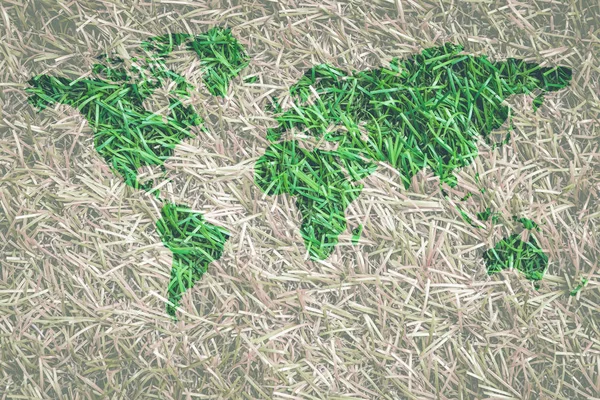 Conceito Ecologia Grama Verde Com Forma Mapa Mundo Cercado Com — Fotografia de Stock