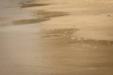 Kum plajı üzerinde akan dalga deniz kapatın. (Seçici odak)