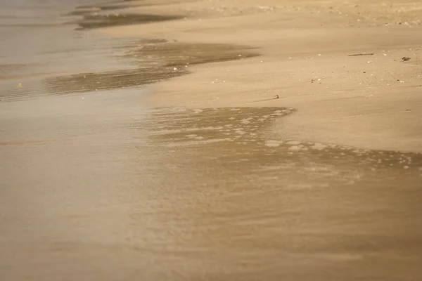 Közelről Tenger Hulláma Áramló Homokos Strandján Szelektív Összpontosít — Stock Fotó