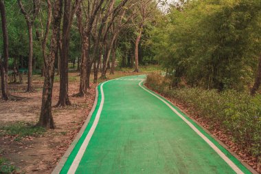 Parkta yeşil ağaçları ile çevrili boş Yeşil Bisiklet lane kapatın. (Seçici odak)