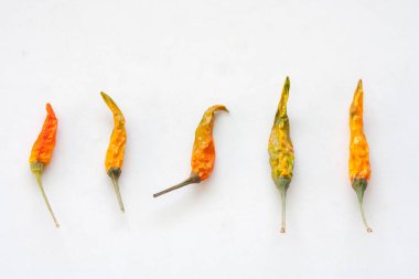 Beyaz arka plan üzerinde izole kurutulmuş bütün renkli biber. (Seçici odak)