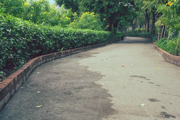 美しい景色の経路または緑の自然に囲まれた公園の通路です 選択と集中 — ストック写真