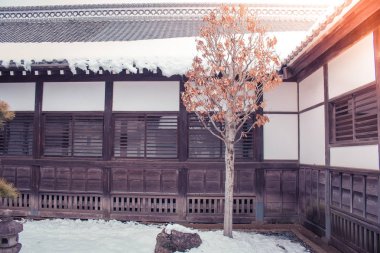 Yalnız ağaç ayakta zeminde kışın mevsimlik dış ahşap bina, beyaz kar ile kaplı. (Seçici odak)