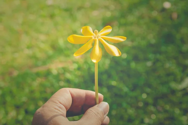 Feche Bela Flor Amarela Mão Com Grama Verde Fundo Foco — Fotografia de Stock