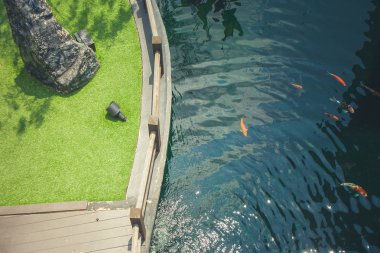 Üstten Görünüm tropikal açık bahçe gölet ve yeşil çayır alanının.