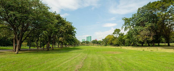 Panorama image of Beautiful of green lawn grass meadow field and trees in public park with city buildings in the background.