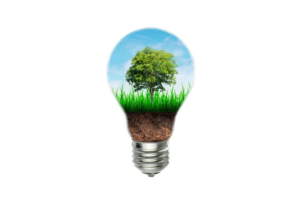 Οικολογία Και Περιβαλλοντική Έννοια Ανάπτυξη Πράσινου Δέντρου Μέσω Καφέ Εδάφους — Φωτογραφία Αρχείου