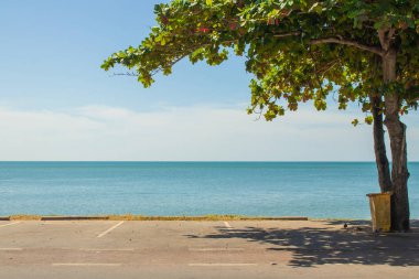 Sahildeki boş beton otoparkın arka planında deniz manzarası var. (Seçici odaklanma)