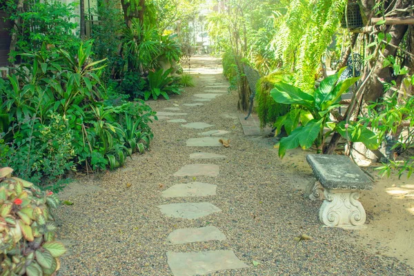 Tropiska Vackra Utomhus Trädgård Flankerad Med Grön Buske Och Gångväg — Stockfoto