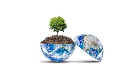 Ekoloji ve Çevre Konsepti: Dünya üzerindeki kahverengi toprak boyunca beyaz arka planda izole edilmiş yeşil ağaç büyümesi. (Bu görüntünün elementleri Nasa tarafından döşenmiştir..)