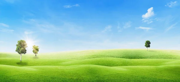 夏季绿树绿茵草甸 小山白云蓝天 风景秀丽 — 图库照片